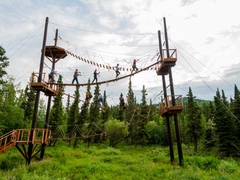 skybridge on denali zip line adventure