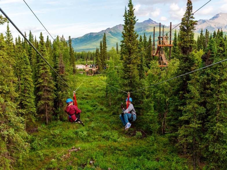 denali zipline tours