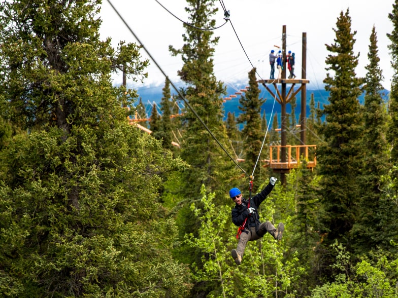 zip line adventure in denali alaska