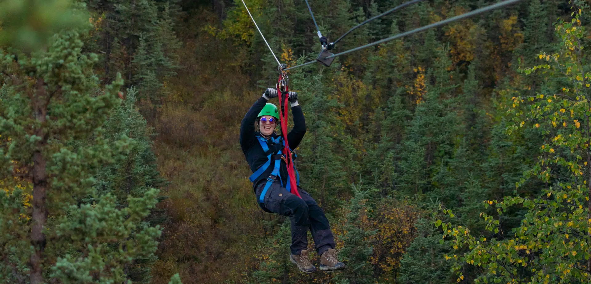 denali zipline
