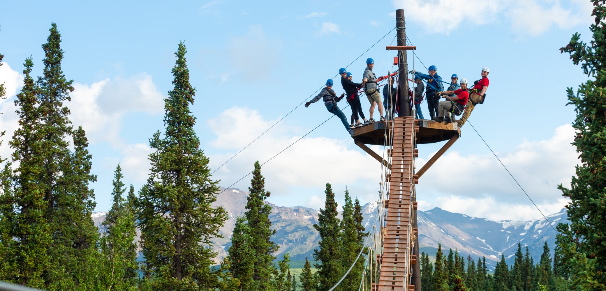 denali park zipline group tours