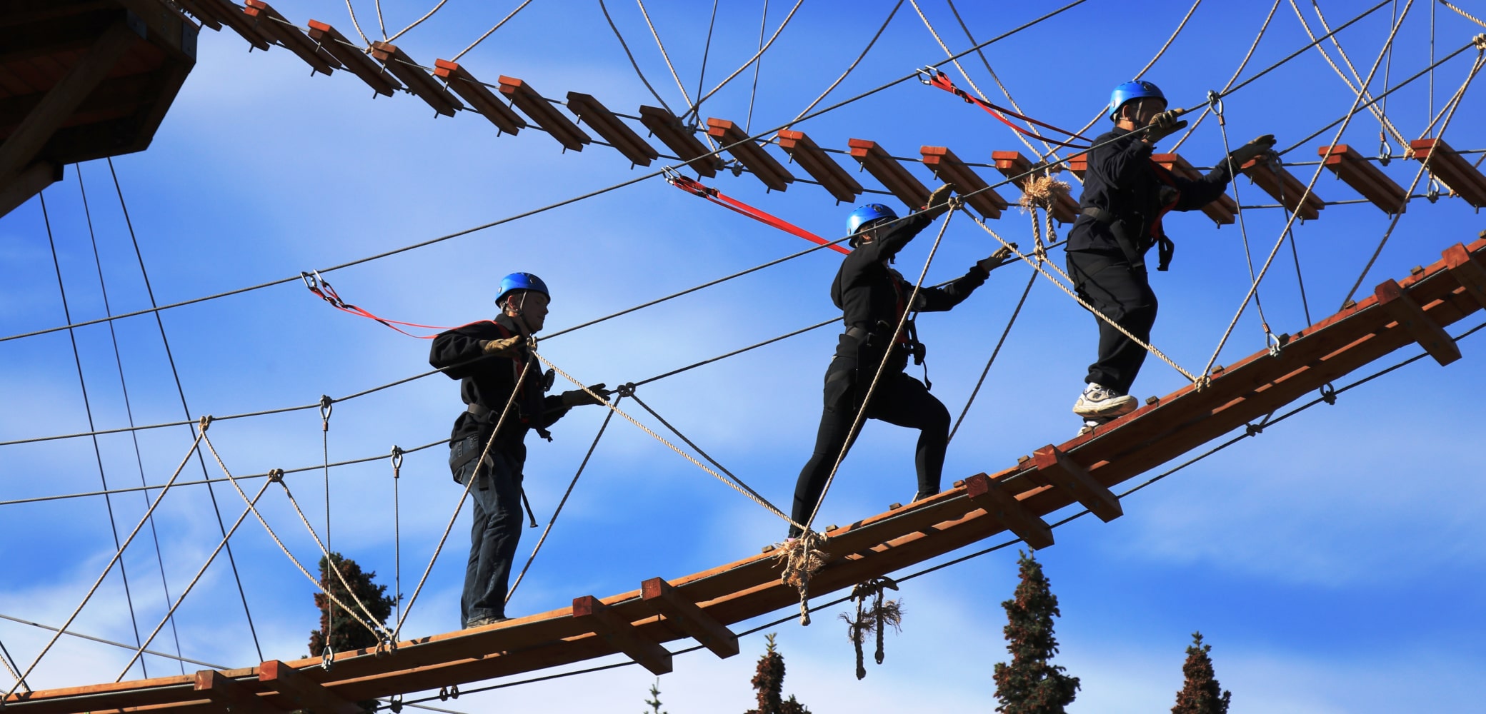 denali zip line adventures