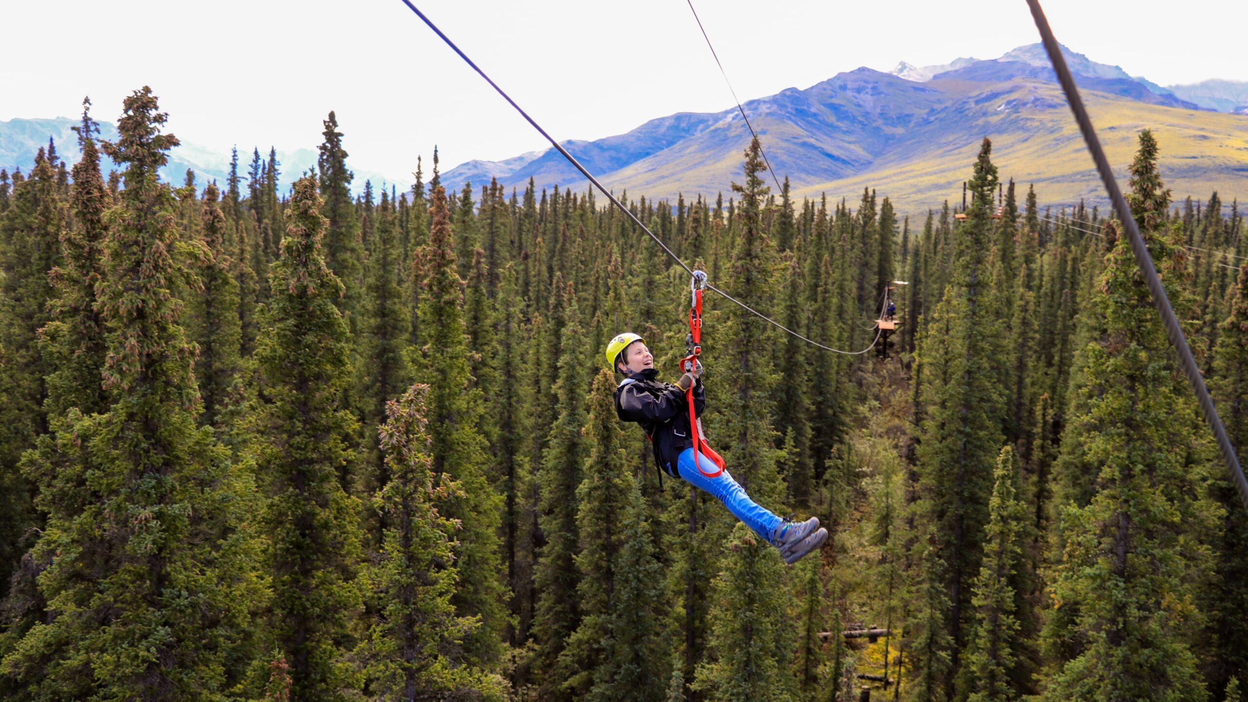 denali zipline tours in Alaska