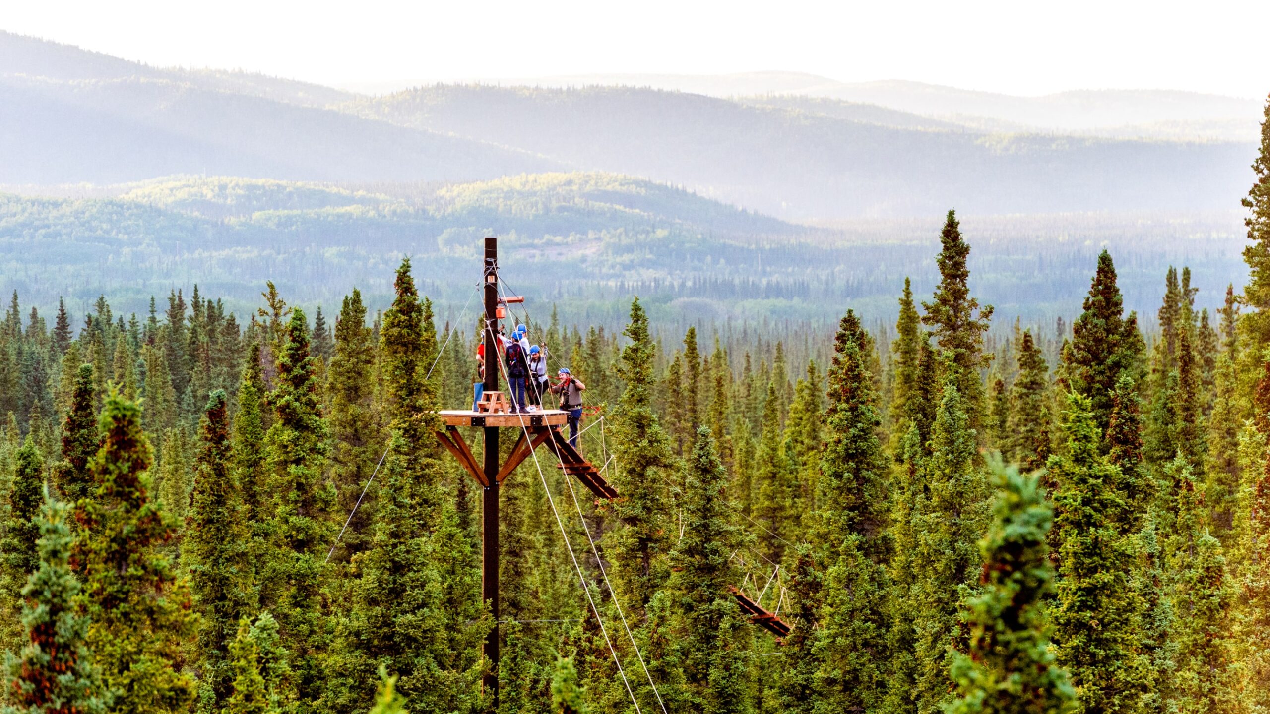 denali zipline tours