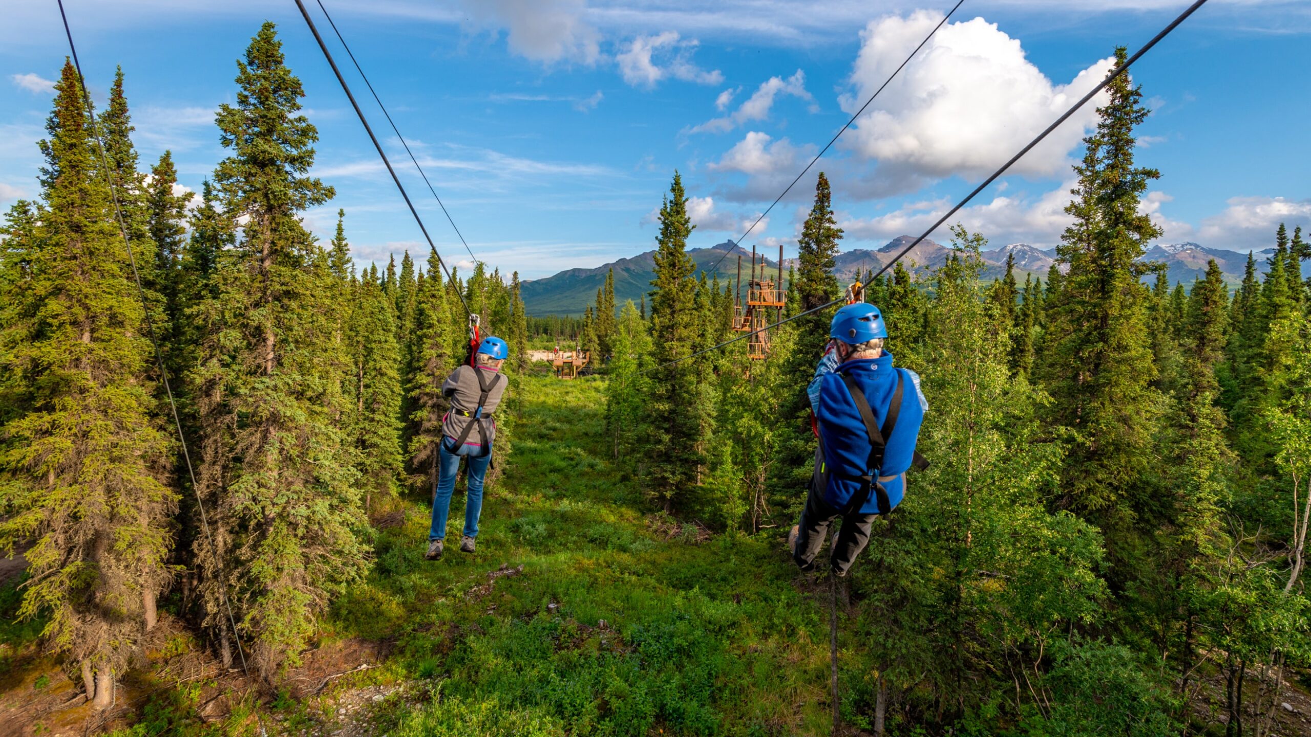 The Best Zipline In Alaska