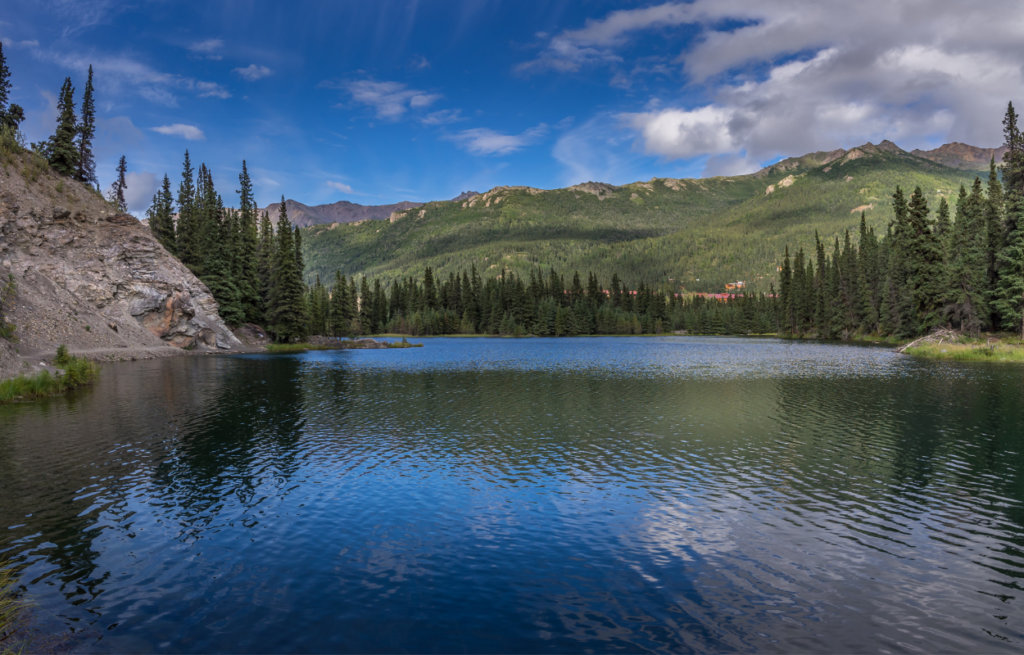 Horseshoe lake trail