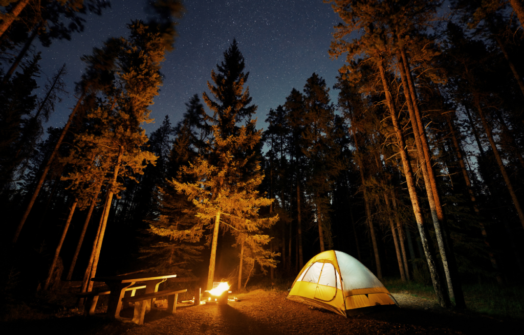 camping near denali