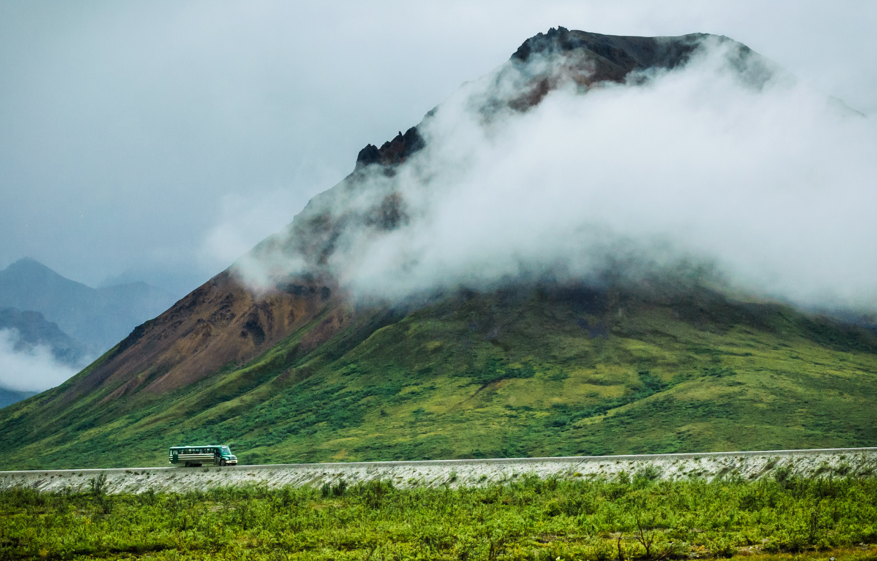 GUIDED HIKING TOURS DENALI NATIONAL PARK visual data 7